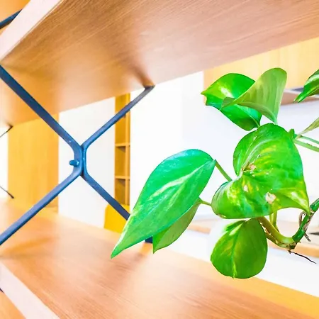 Apartment Amazing Luxury Aviatiei Bucharest